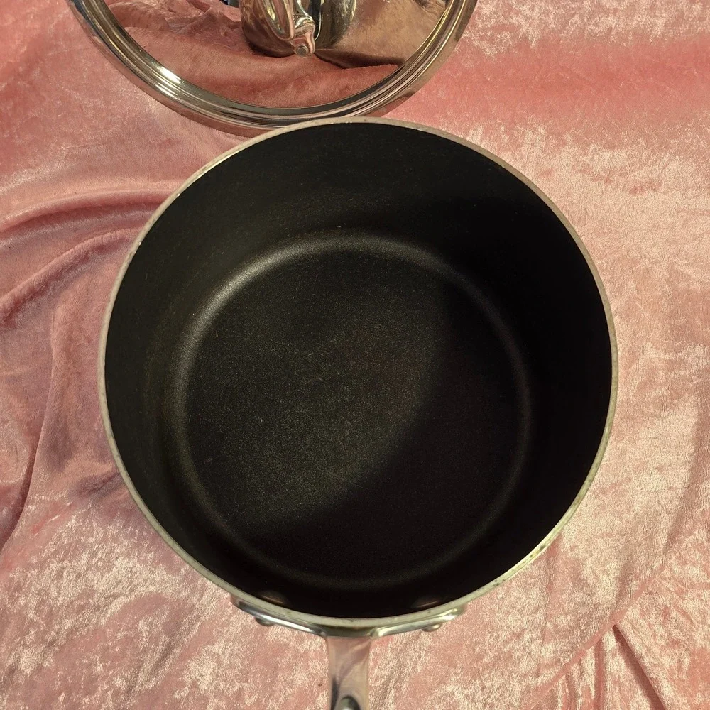 All-Clad Stainless Steel Nonstick Saucepan with Lid Silver 5x8 Inch 3 Quart